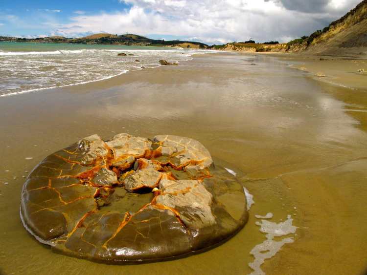 a-sand-smoothed-half-moeraki-boulder-up-the-beach-a-mile-from-the-main-group