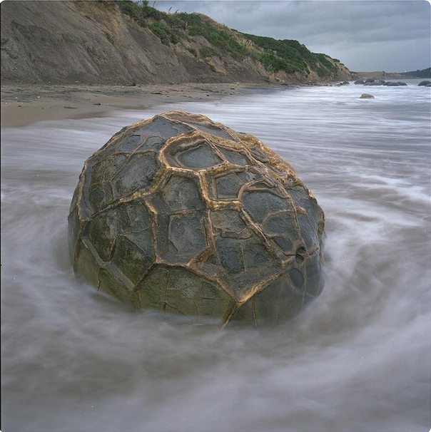 moeraki-boulder-with-strange-cover