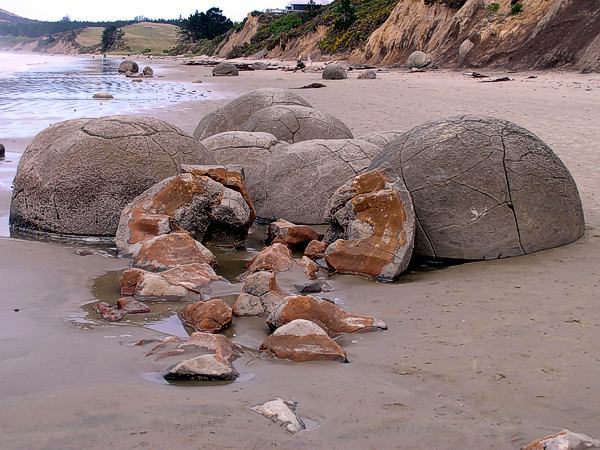 moeraki7_0403