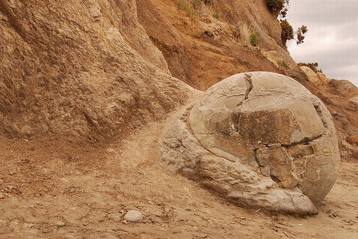 moeraki_boulders_12