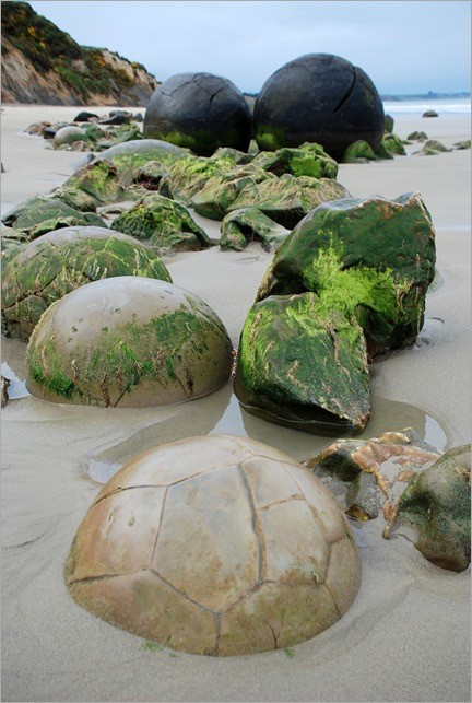 mysterious-moeraki-boulders_thumb4