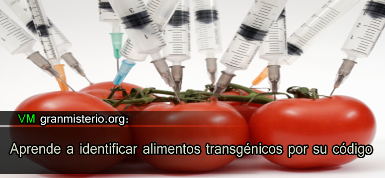 portada_alimentaprend