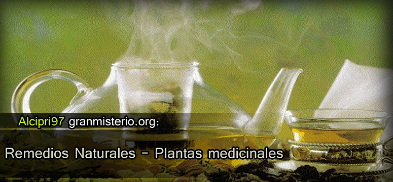 remedios plantas
