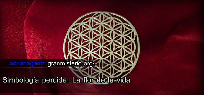 florbila