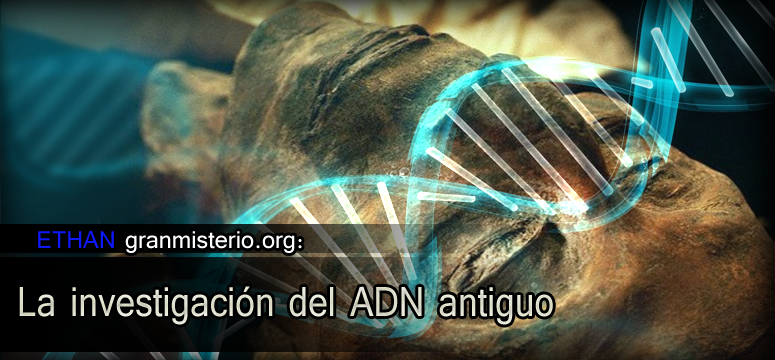 ADNVIEJO