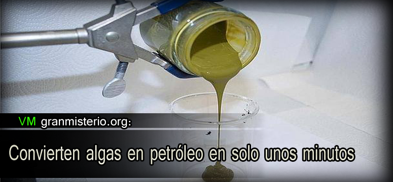 algas_petroleo