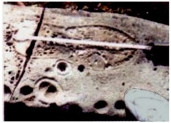 Pisadas de viajeros del tiempo hallado
