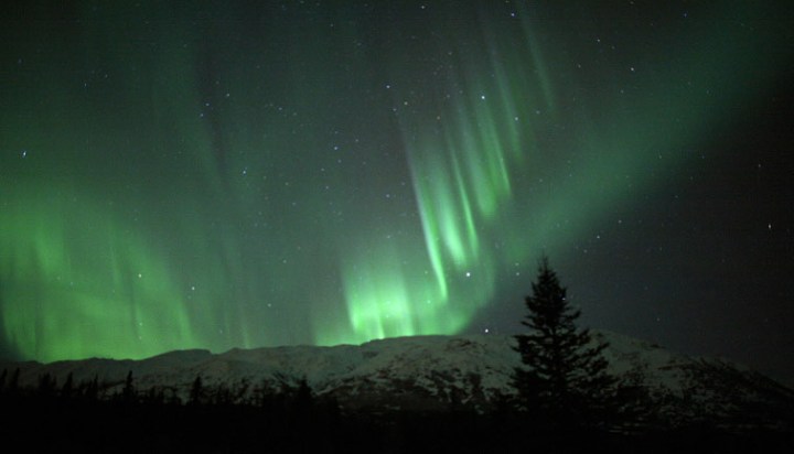 Calvin-Hall-aurora-buffalo-mine-rd-5985_1199594299