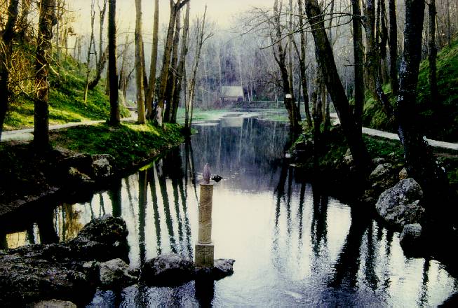 de un rio y Bosque galeria