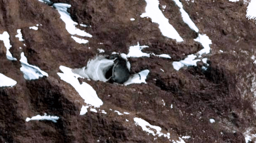 ec0d7-article-2333203-1a10994f000005dc-826_634x424