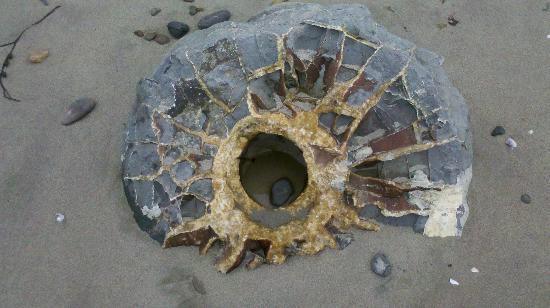 one-of-moeraki-boulders