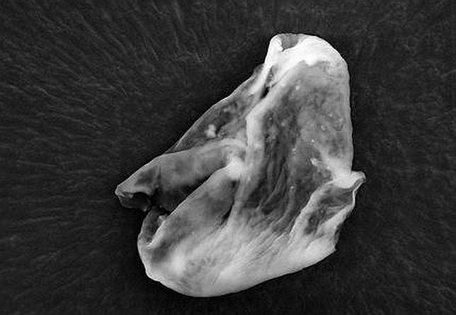 4e1f0d2b715de5b4365917b063f1ab3e_article430bw--644x444