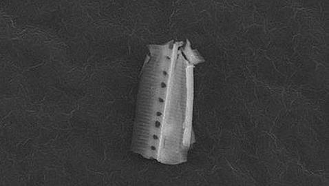 a8029da0239048e38df1a0be961f7bd9_article630bw--478x270