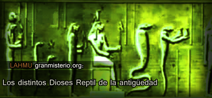 dioses reptil