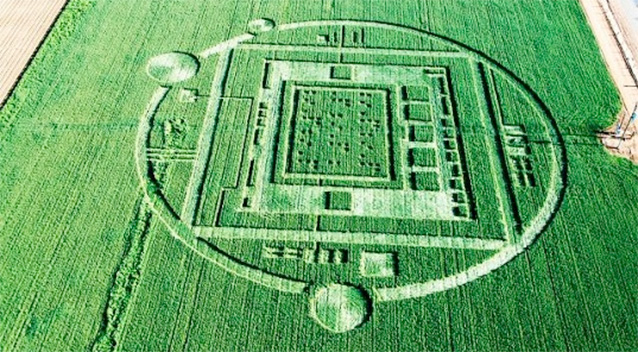 crop_circle_california