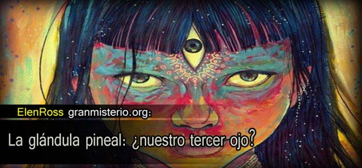 elene_pineal