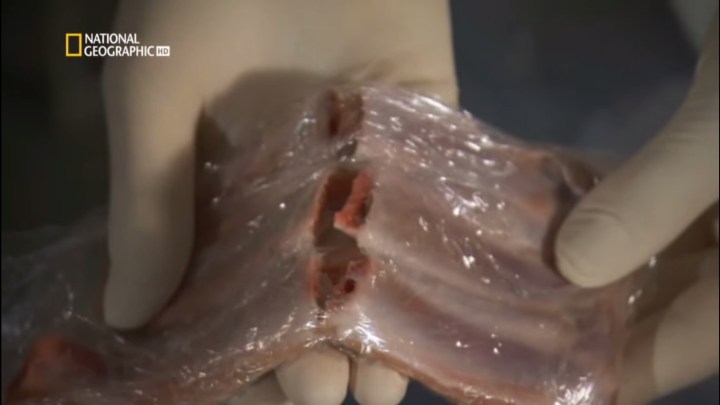 COSTILLAR DE CERDO 2