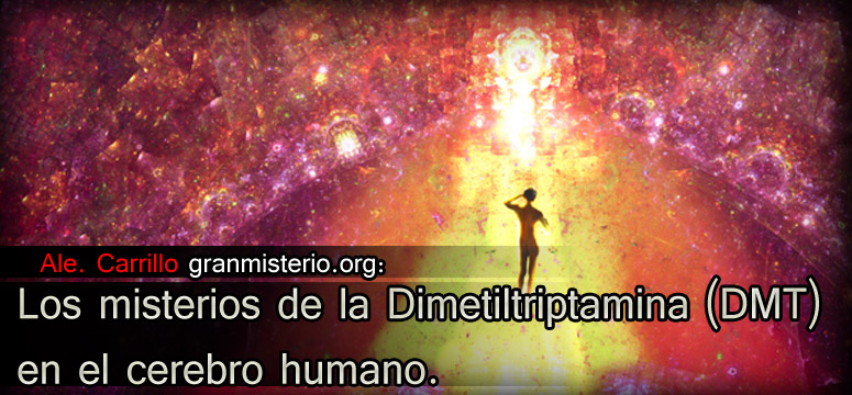 dmt