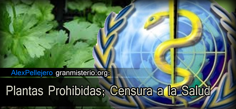 plantas