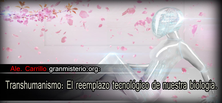 trans