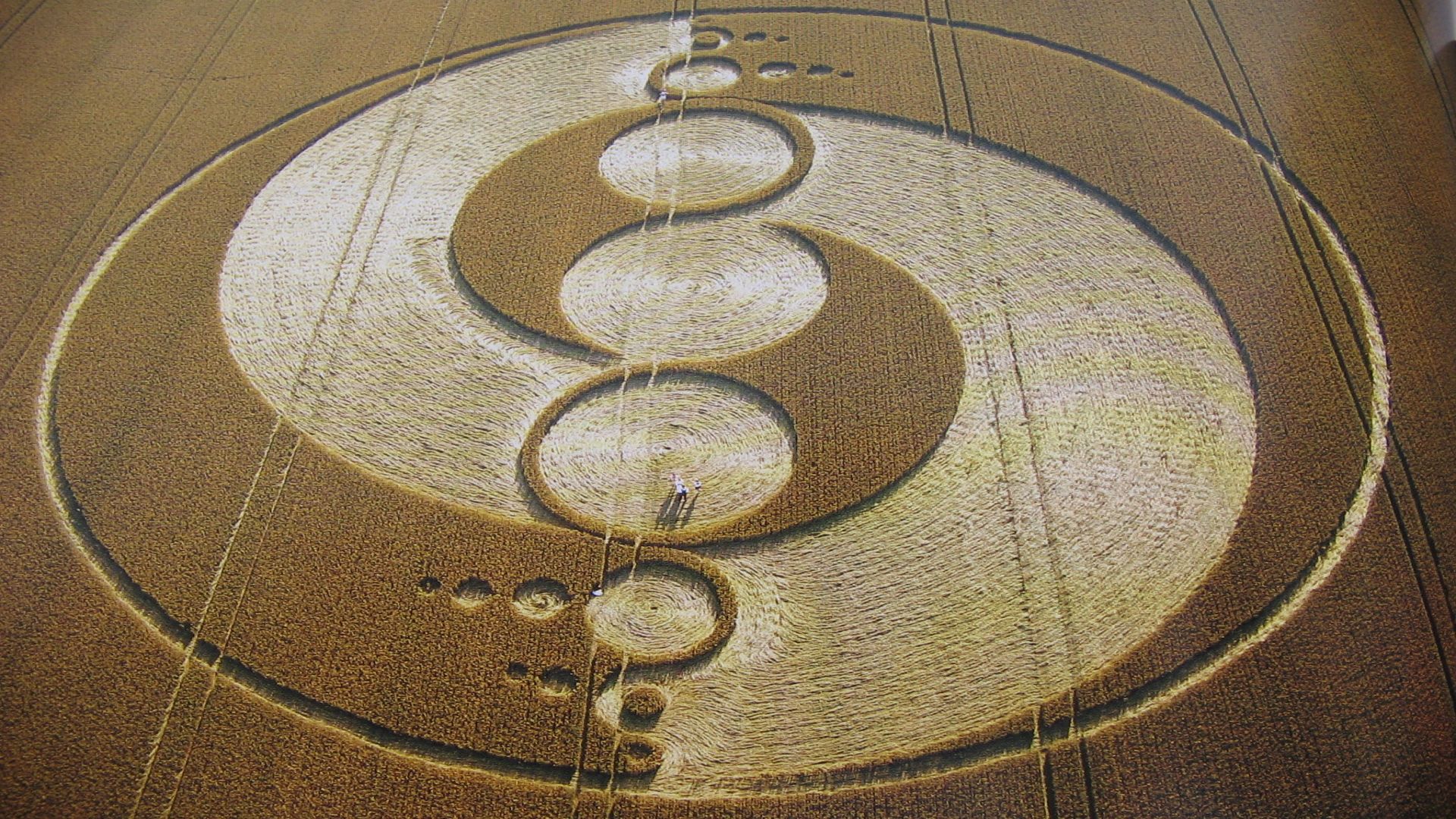 7033818-crop-circles