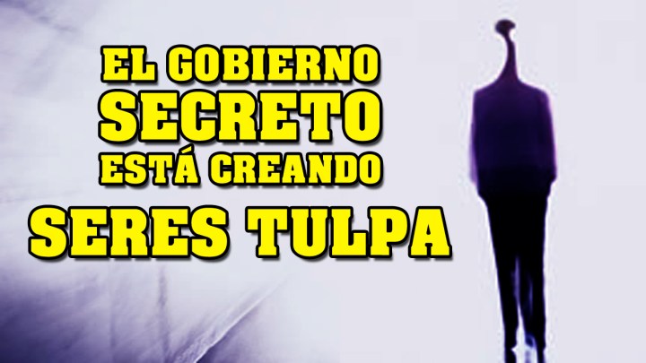 minia_gobierno tulpa
