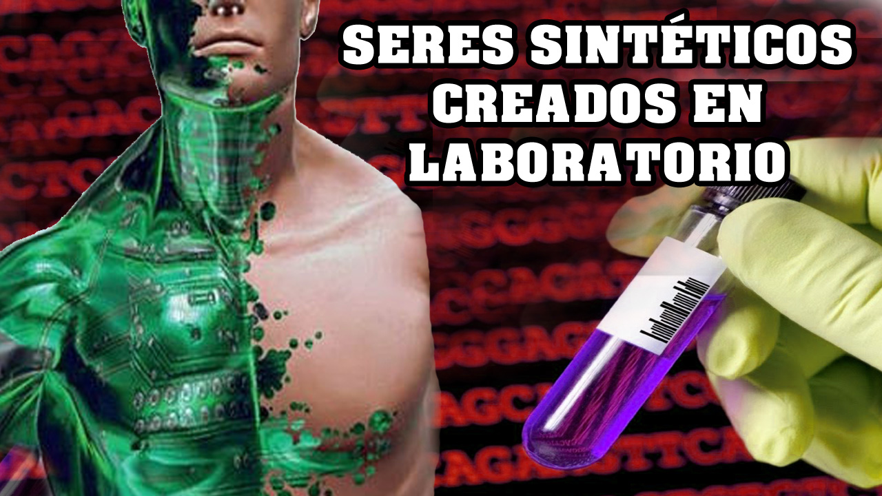 MINIA_SINTETIC