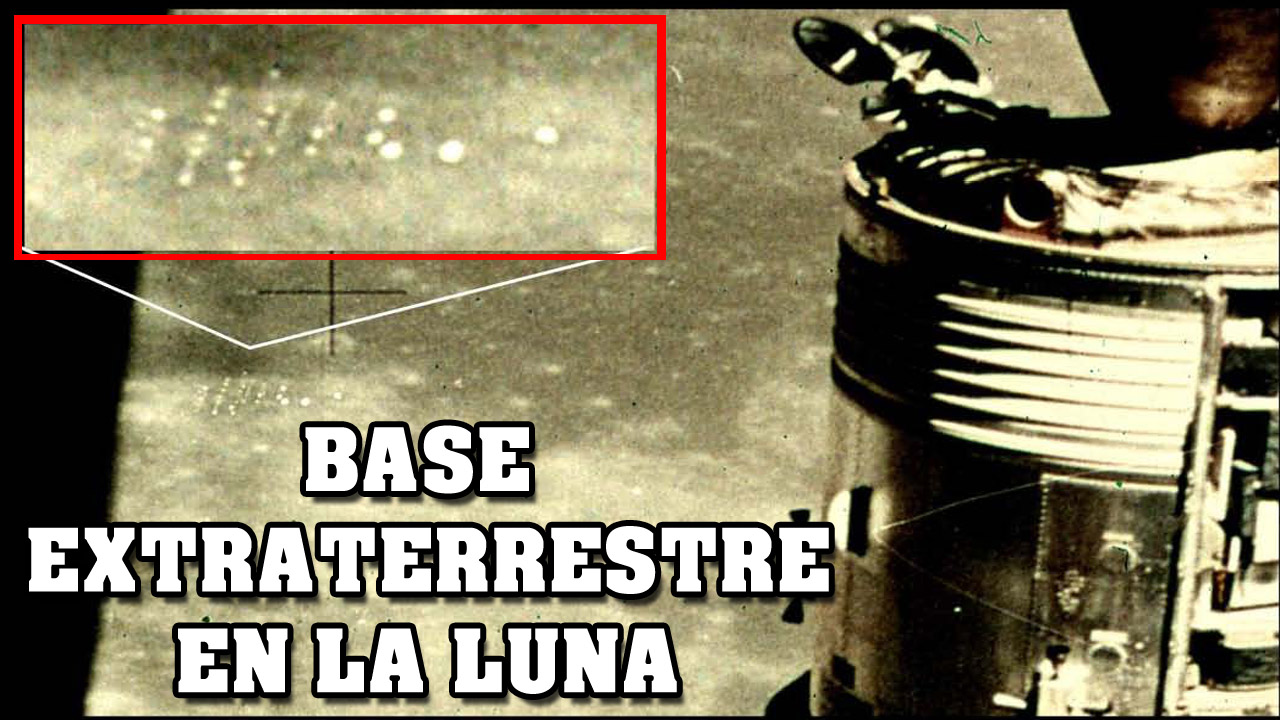 minia_base